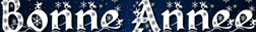 Bannière new-year